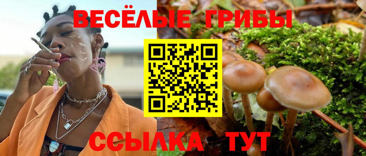 Псилоцибиновые грибы прущие грибы Карачаевск