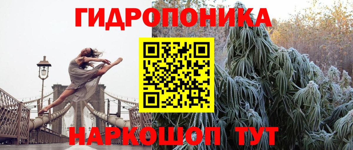 Канабис гибрид Карачаевск